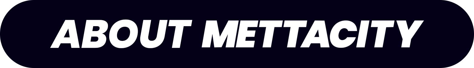 About Mettacity